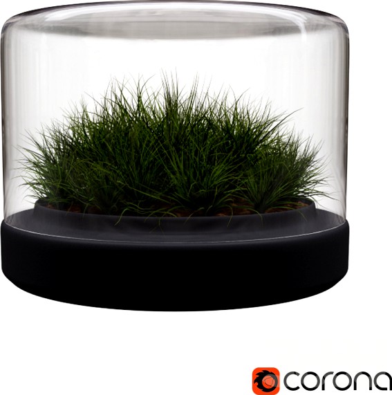 Ваза с травой