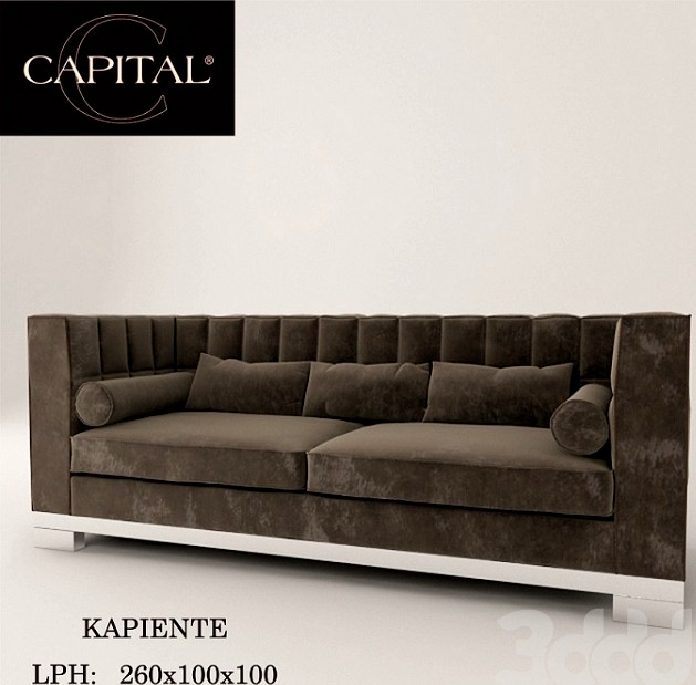 Capital