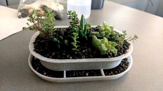 Succulent planter with drainage tray by justbuchanan