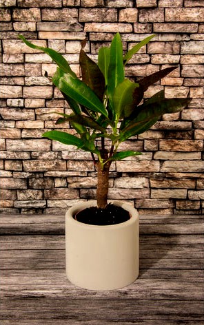 Smal planter by Jakwit