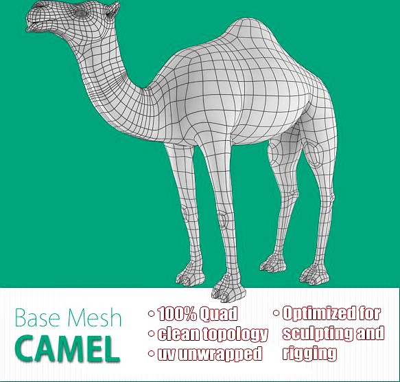 Camel Base Mesh3d model
