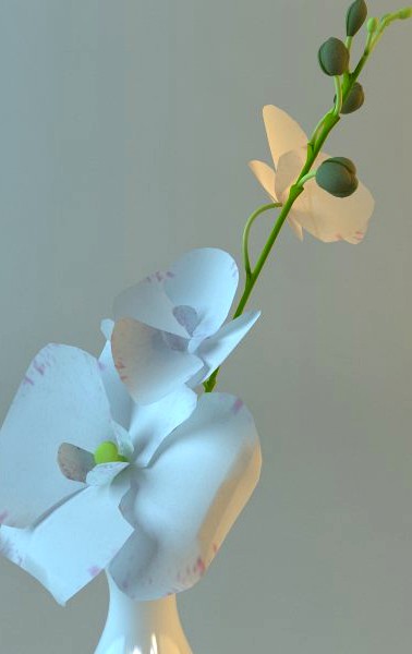 White Vase with Flowers3d model