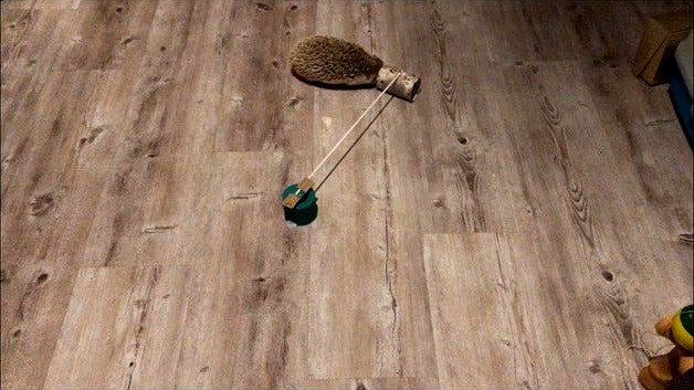 Hedgehog Toy - Inifinite Tubing Device by sunfffd