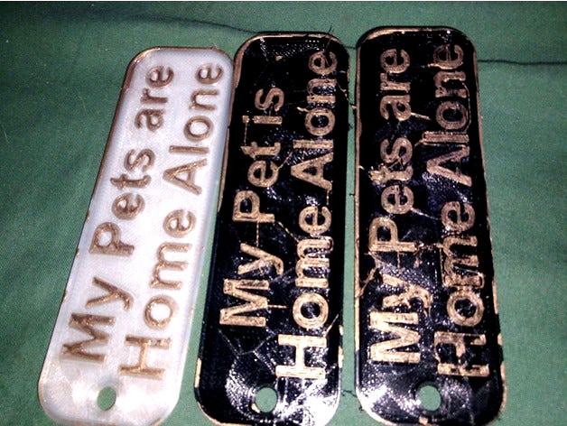 My Pets are Home Alone Keychain by Hitchabout