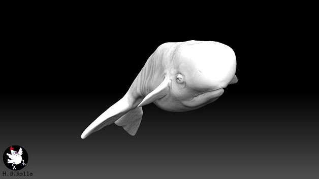 Whale by Hrolla