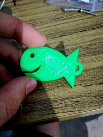 Fish key fob by Sfeeen