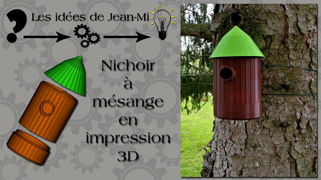 Nichoir à oiseaux ( Birdhouse ) by poupinou82