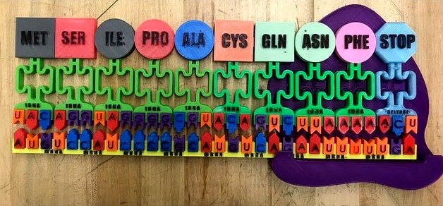 Translation Modeling Activity by rforster2019