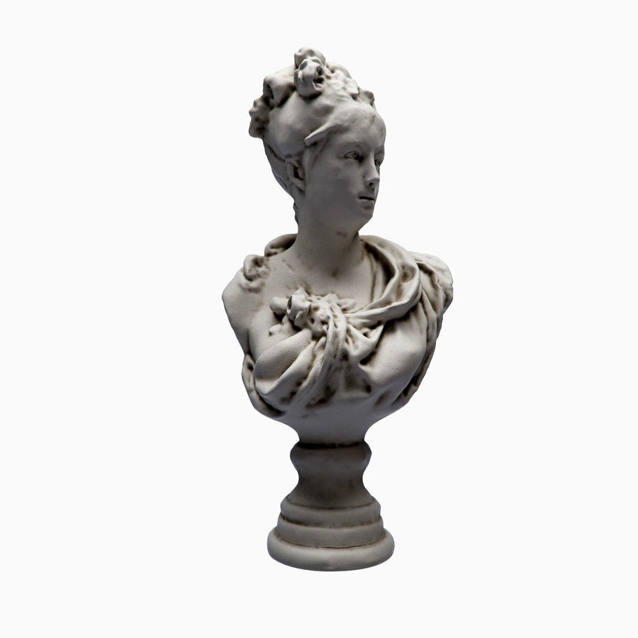 Bust Young Woman