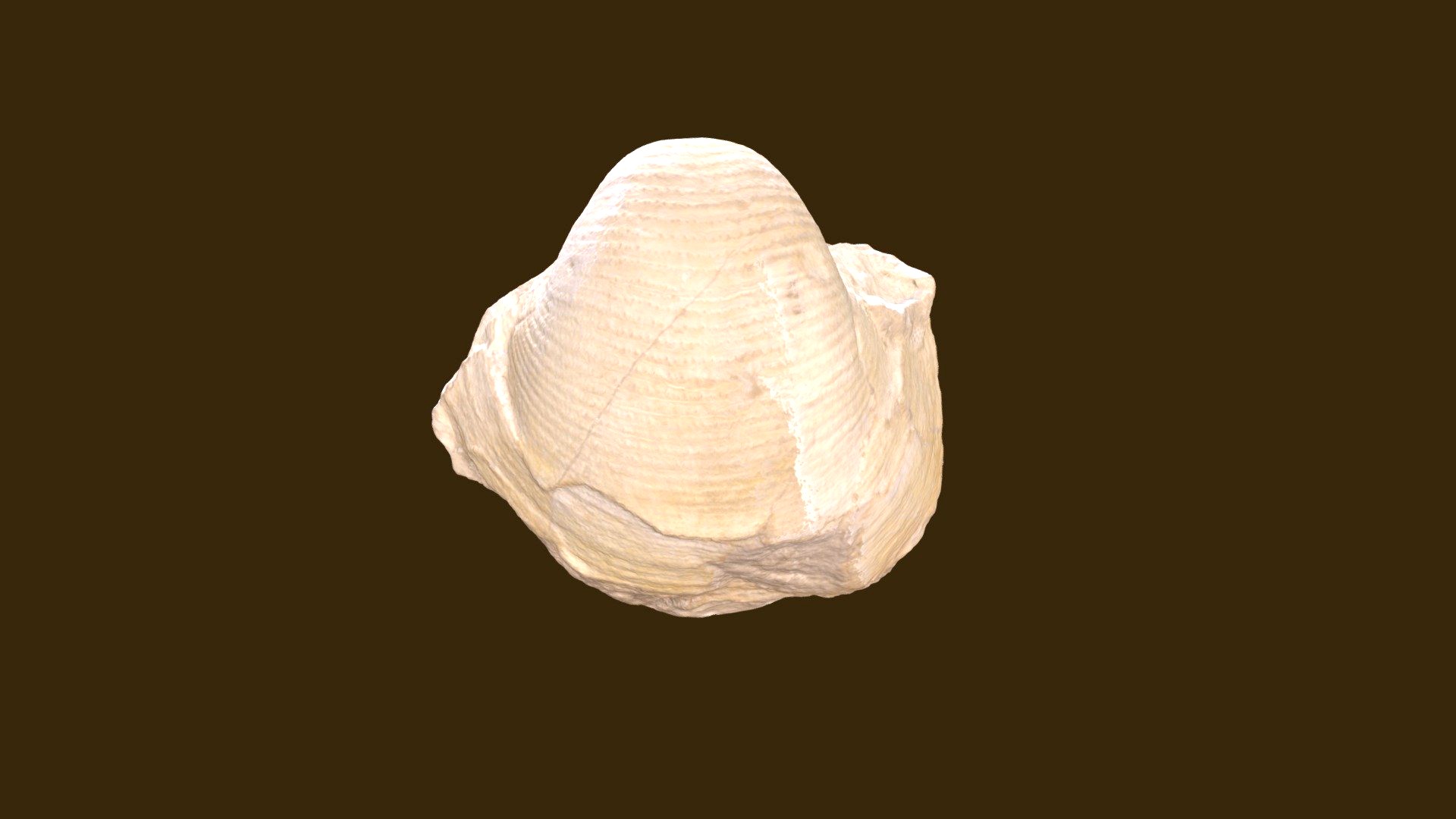 Echinoconchus semipunctatos