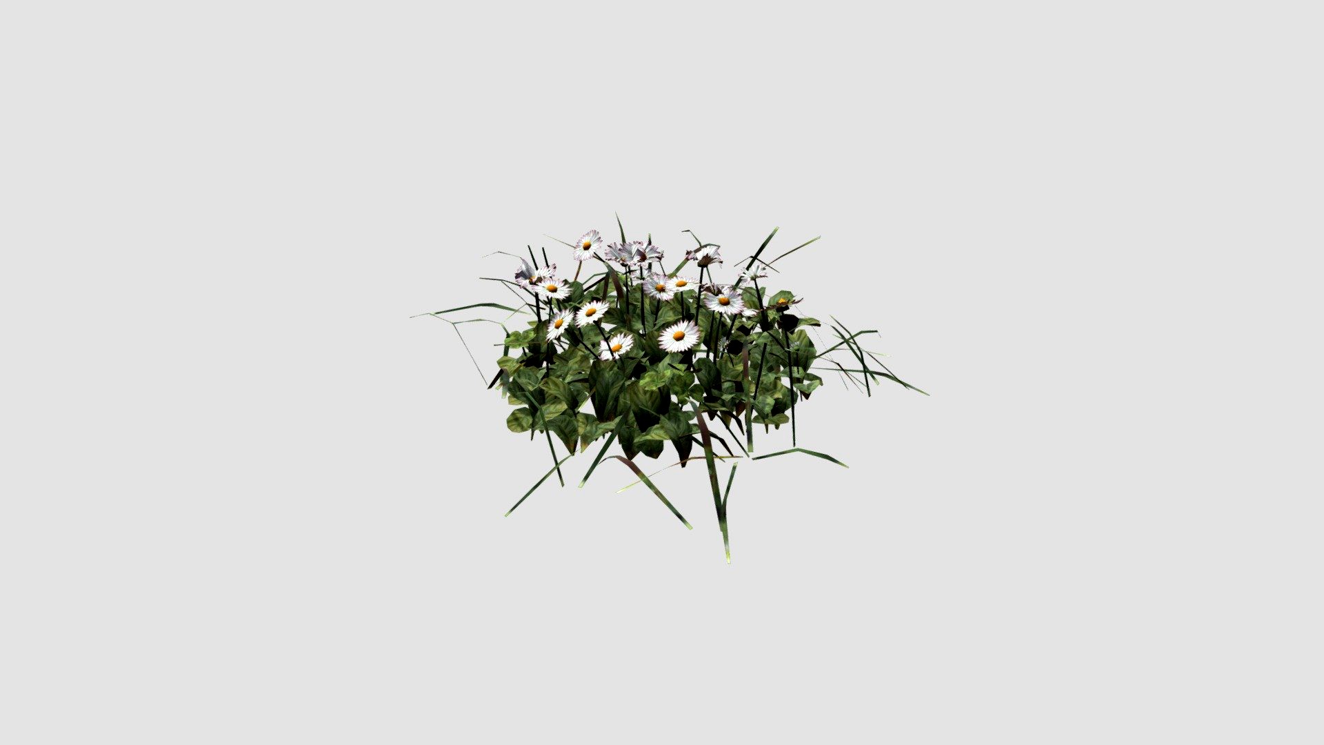 simple grass small