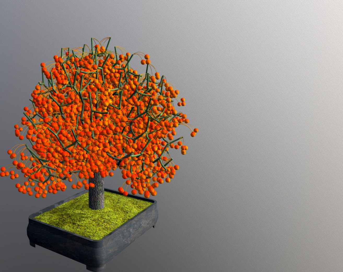 Crabapple