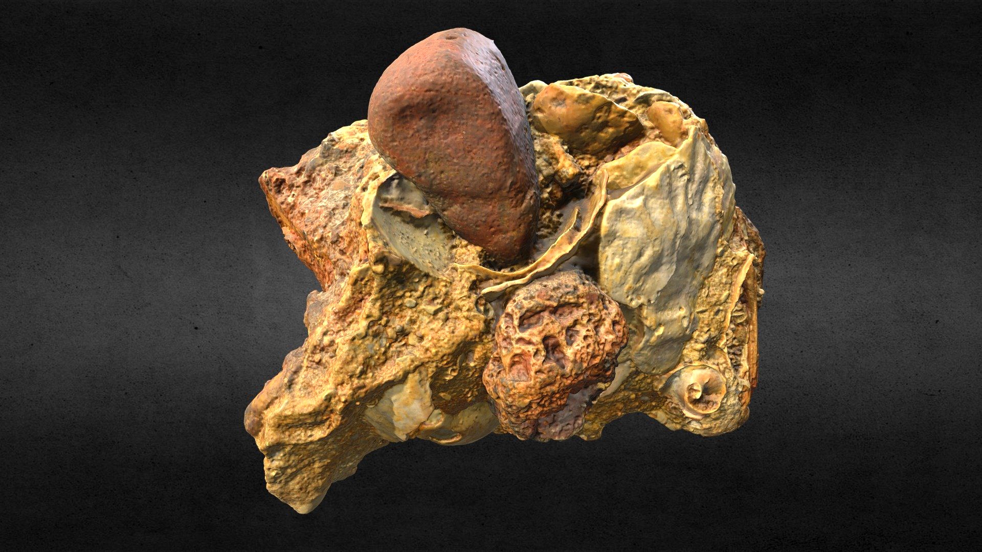 Very unusual stone