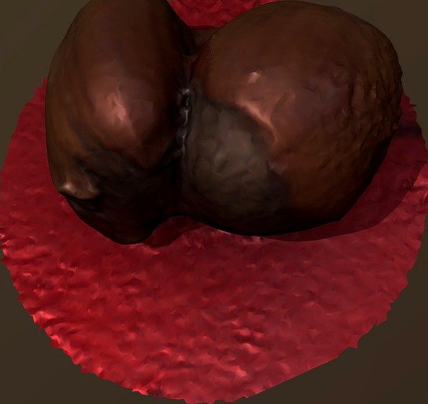 Duble Nuts