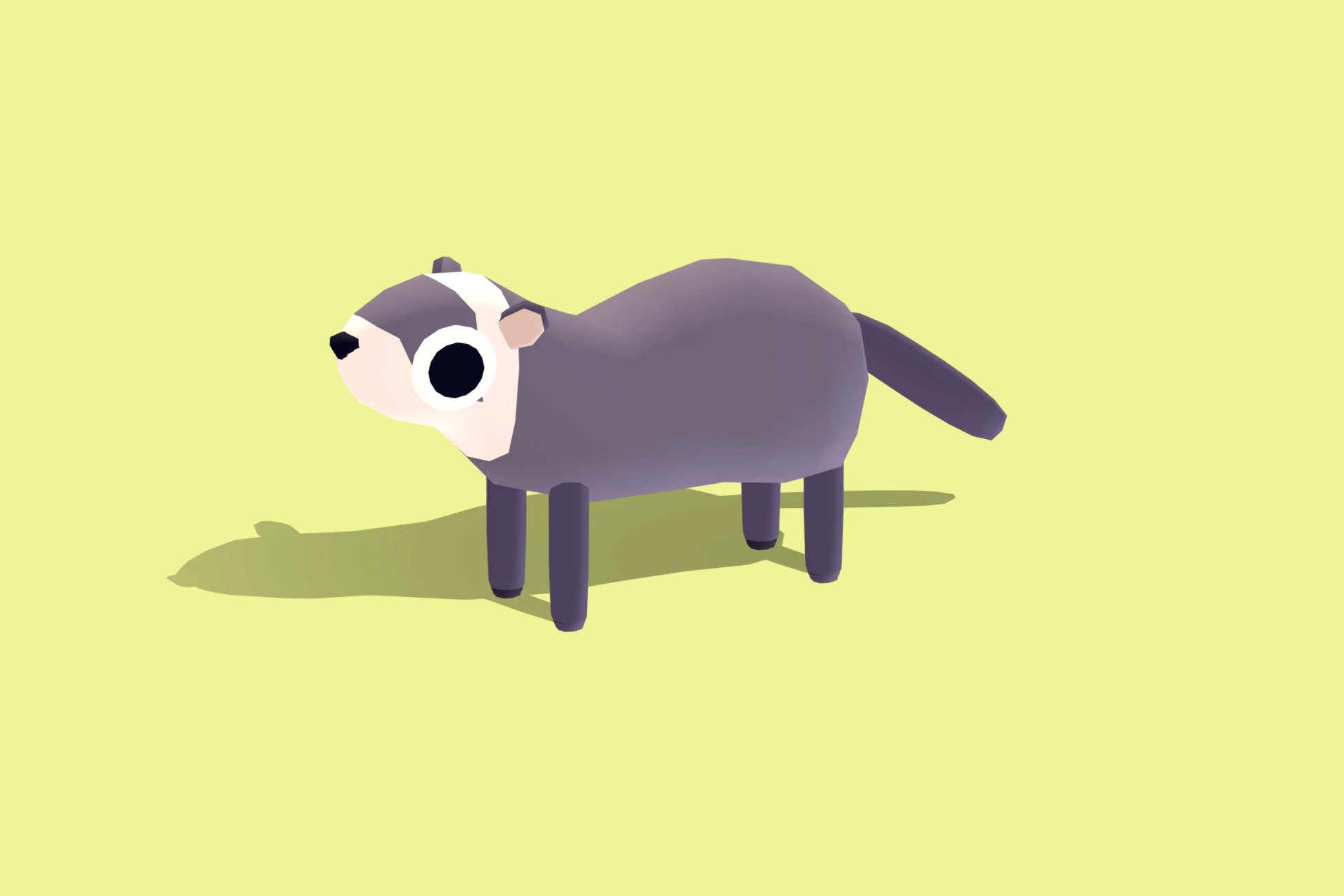 Ferret - Quirky Series