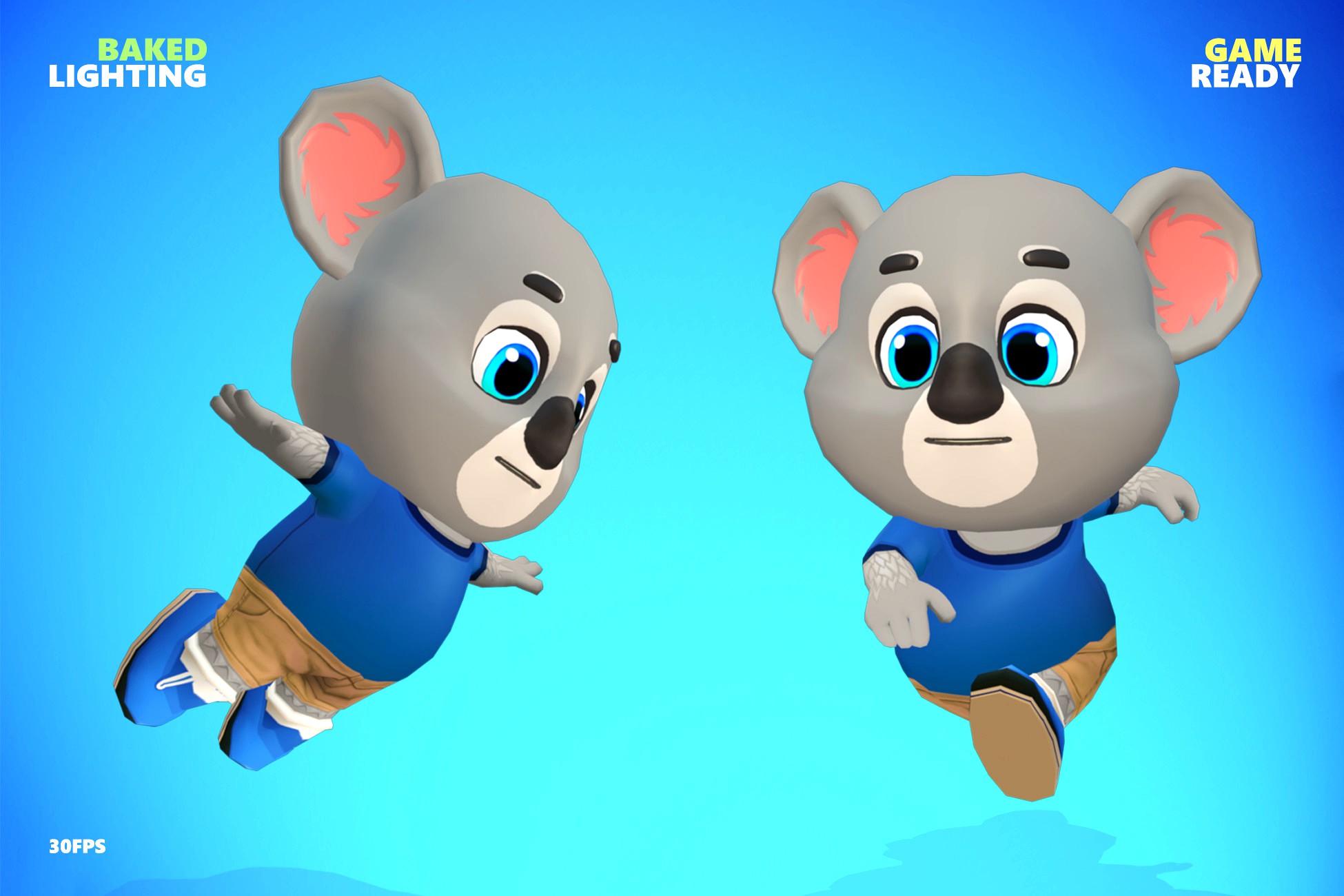 Koala Bear Animated