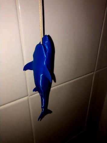 Shark Light String Pull by JoeGTI