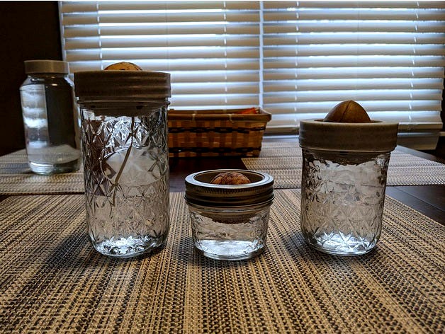 70mm Mason Jar Avocado Planter by 720p