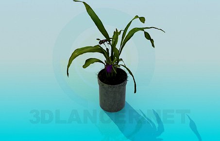 3D Model Pot