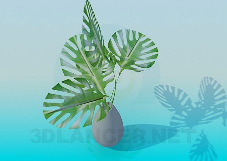3D Model Pot