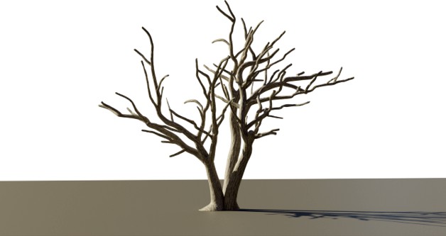 Oak Tree Armatures - D&D Terrain by zachfejes