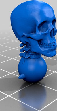 Skull Head by Void-8065236