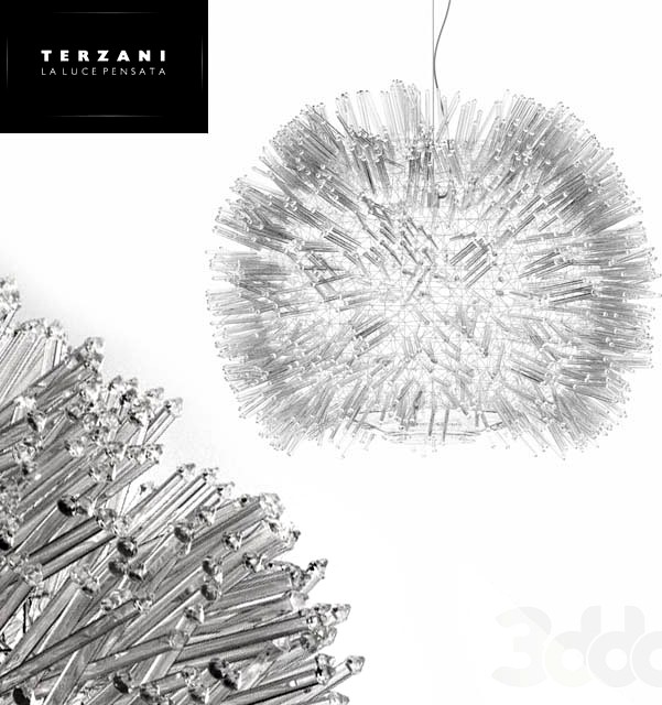 Terzani Sea Urchin