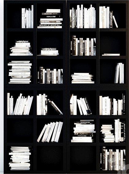 Shelves of books (three differents sizes)