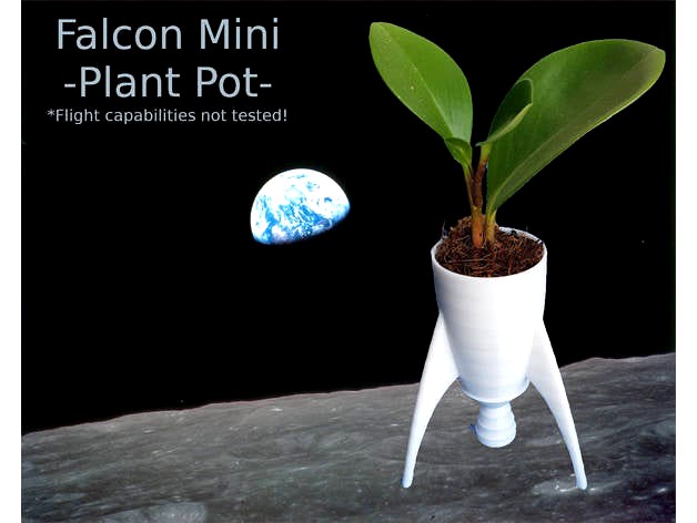 Falcon Mini - Plant Pot by Tantruiu