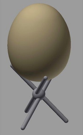 Fowl & Ostrich Egg by Topdog