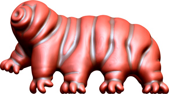 Tardigrade - Class Eutardigrada by taylorcustom