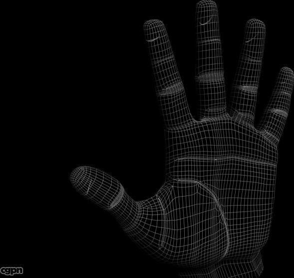 Hand3d model