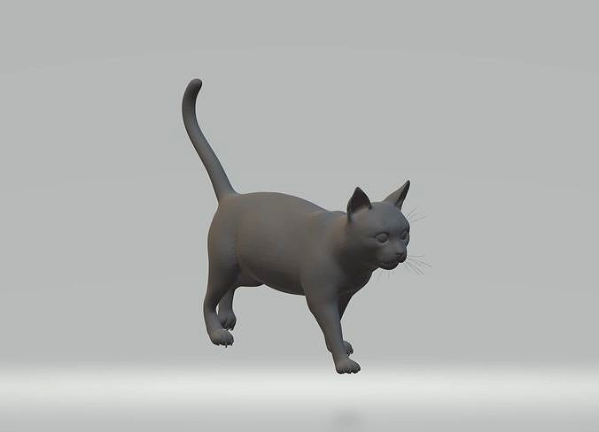 Cat  Katze | 3D