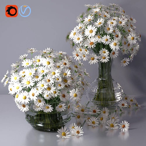 Realistic Daisy Chamomile Bouquet Vase