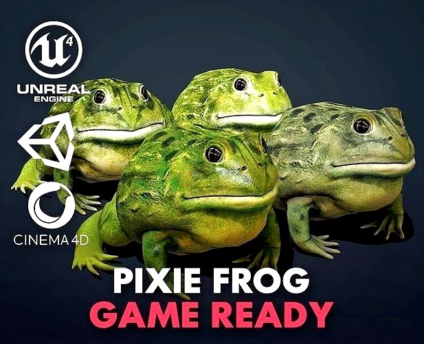 Pixie Frog - Game Ready