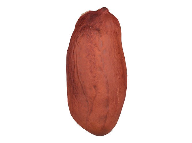 Photorealistic Peanut Kernel 3D Scan