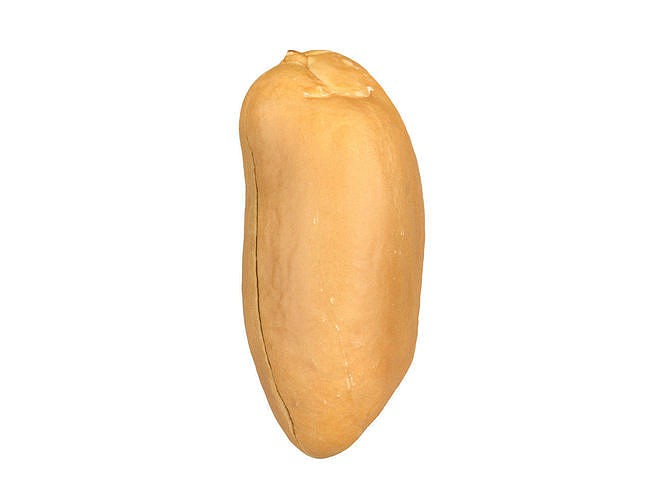 Photorealistic Peanut Kernel 3D Scan 2