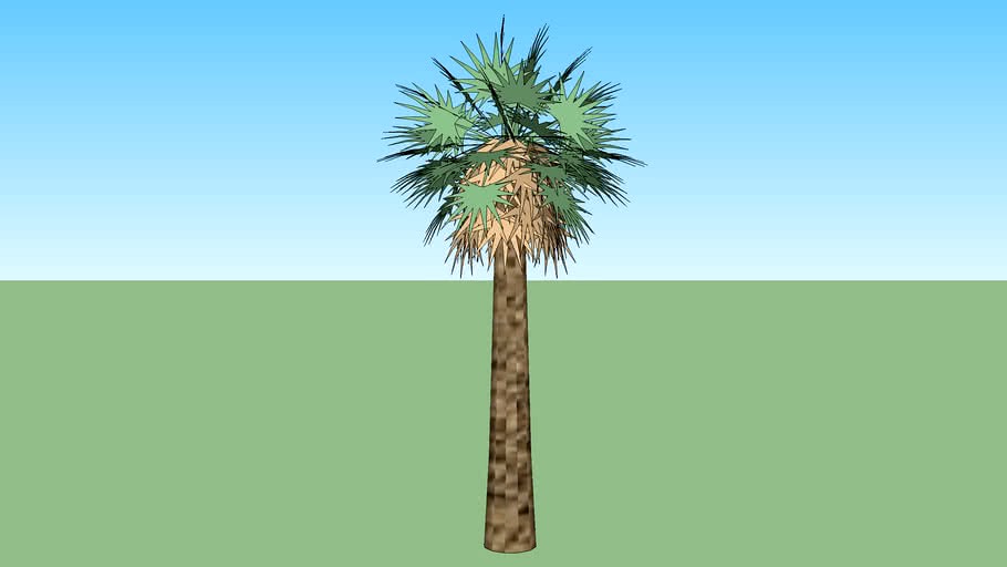 Coqueiro