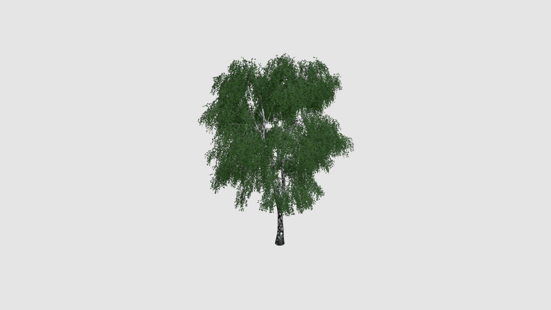 tree