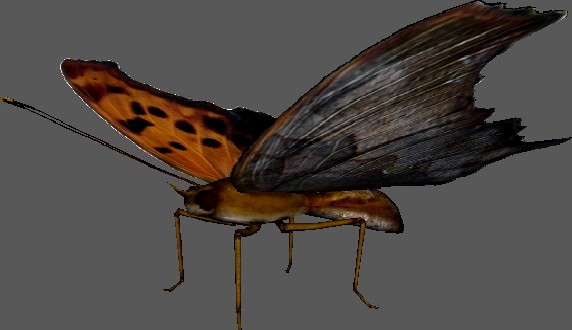 Butterfly Low Poly