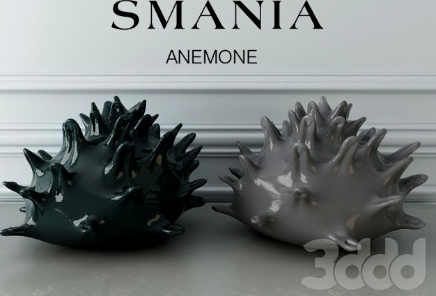 Anemone Smania