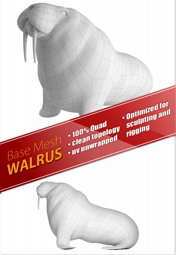 Walrus Base Mesh