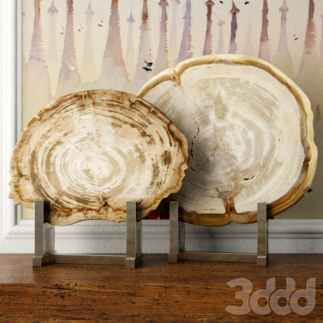 White Petrified Wood Slices
