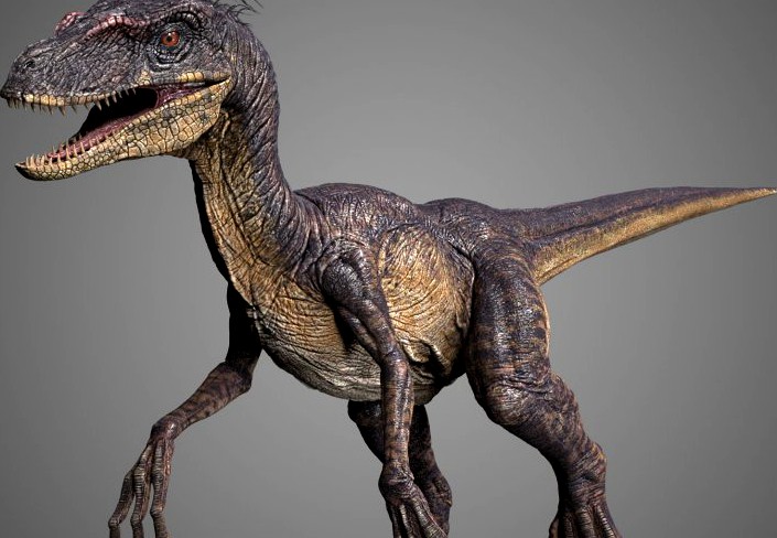 Velociraptor3d model