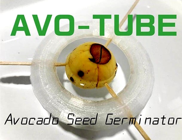 AVO-TUBE: Avocado seed germinator by Kzysh0851
