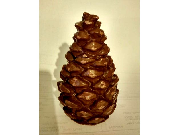 Pine cone cache by Izak02