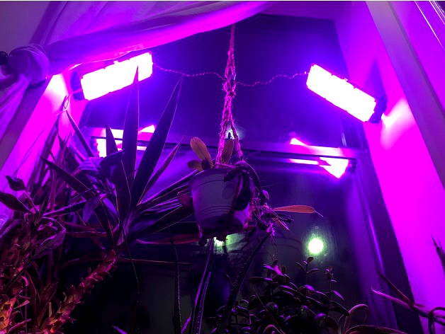 Grow Light Diffuser by gianteye