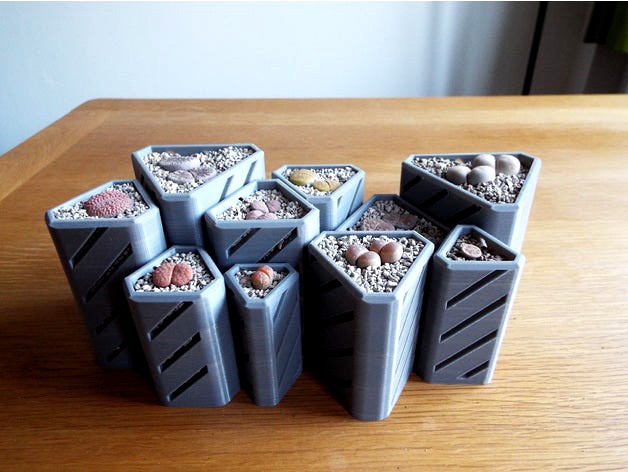 Geometric Lithops Plant Pot by MegaAndy