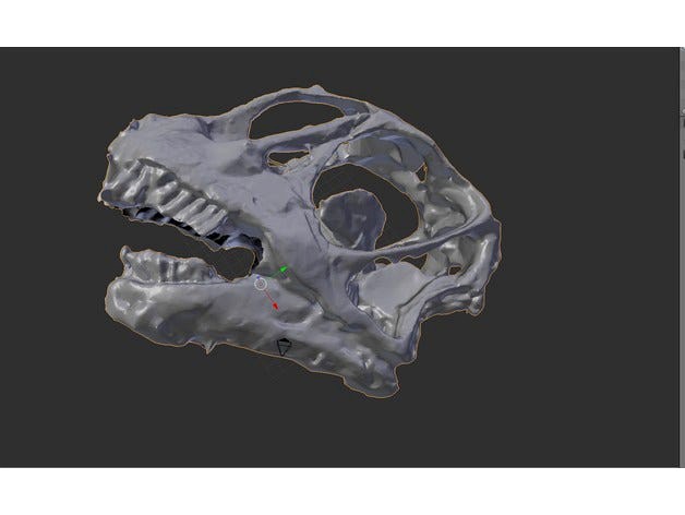 Camarasaurus Skull by Pink_Iguanas