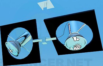 3D Model Halogen